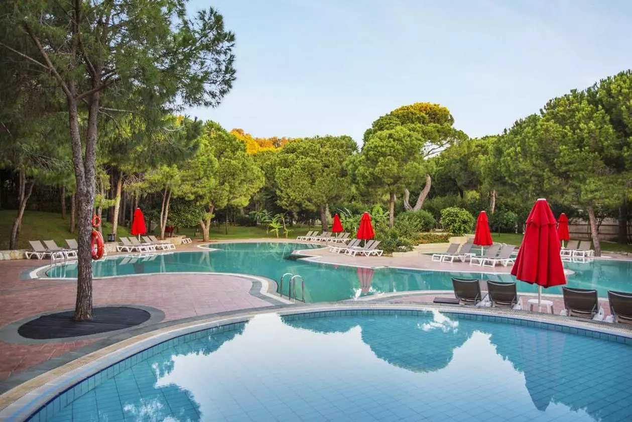 ICSANTAY_SHABAVIZ (8).jpg